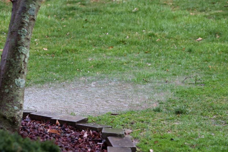 Yard Water Diversion