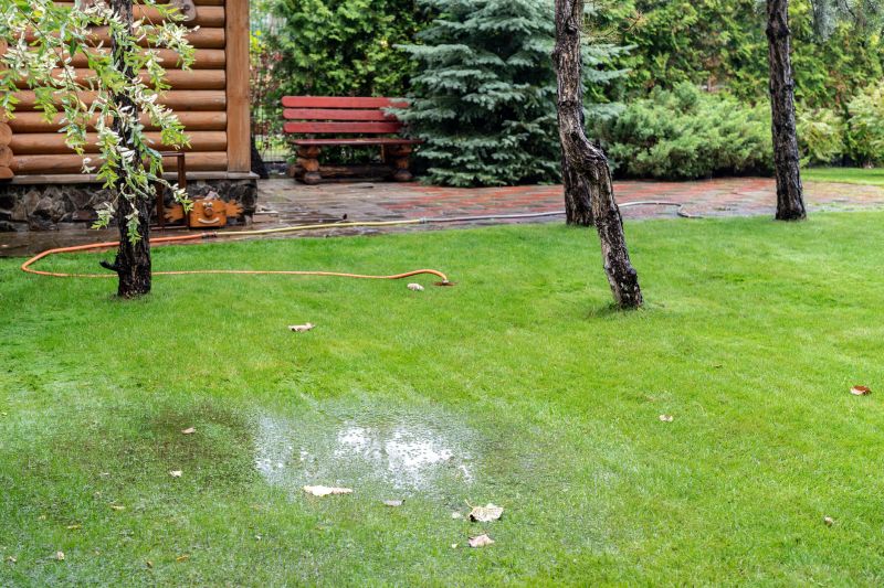 Yard Water Diversion